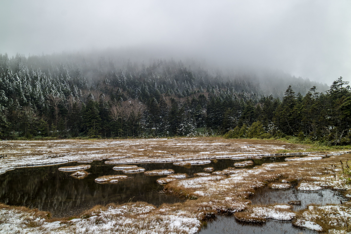 f:id:JKazy:20211023153034j:plain