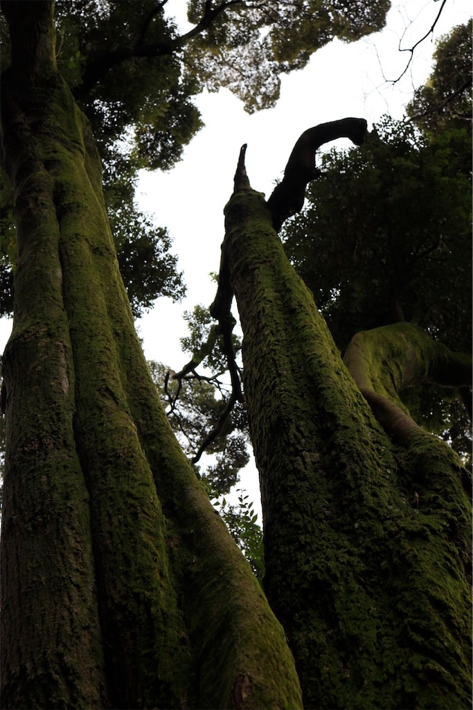 f:id:JKazy:20220319173740j:plain