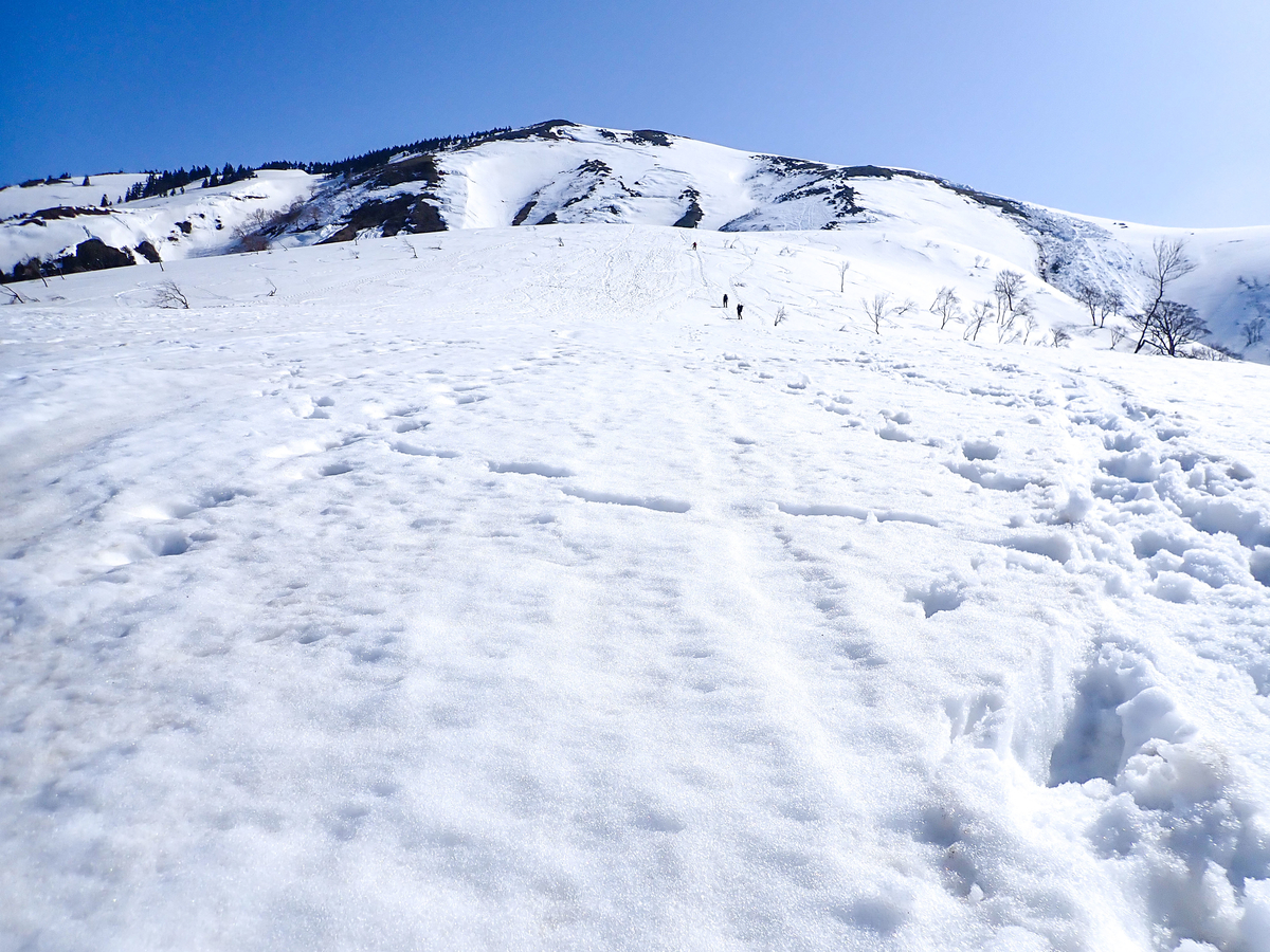 f:id:JKazy:20220413184701j:plain