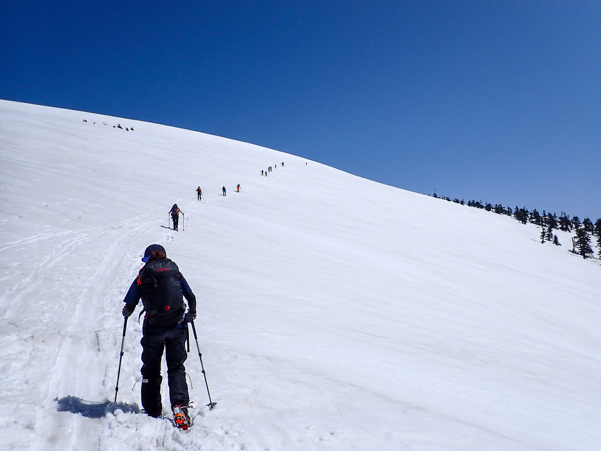 f:id:JKazy:20220413184811j:plain