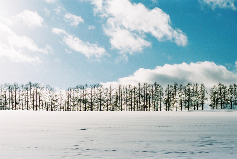f:id:JLP:20130106150940j:image