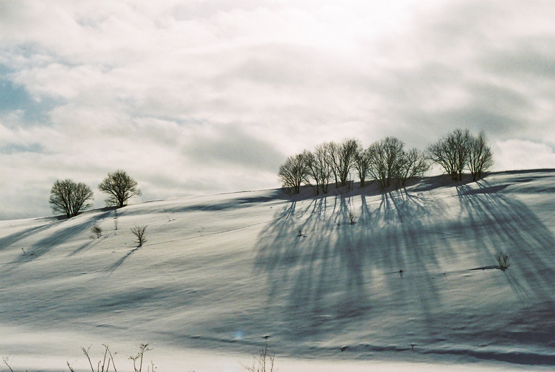 f:id:JLP:20130106150941j:image