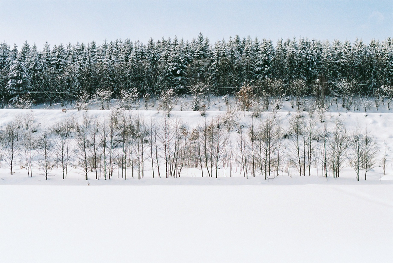 f:id:JLP:20130106150943j:image