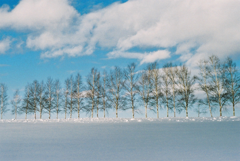 f:id:JLP:20130106150946j:image