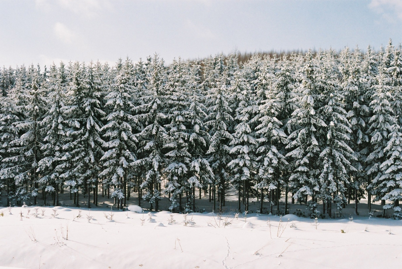 f:id:JLP:20130106150948j:image