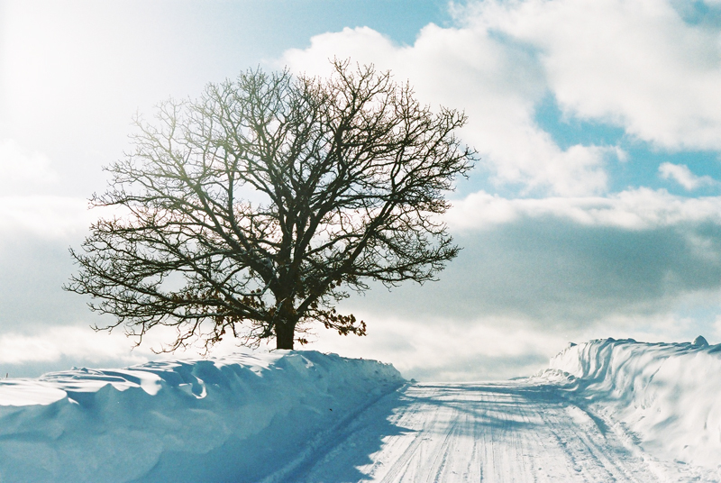 f:id:JLP:20130106150949j:image