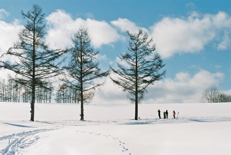 f:id:JLP:20130106151113j:image