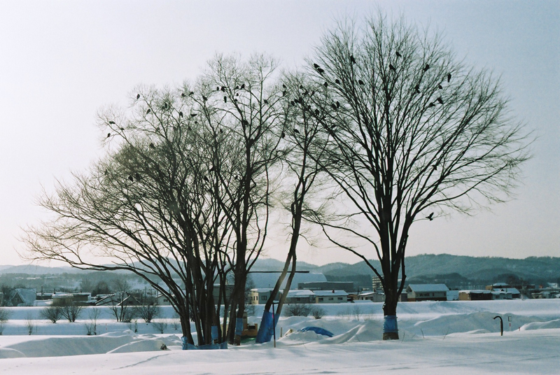 f:id:JLP:20130106151159j:image