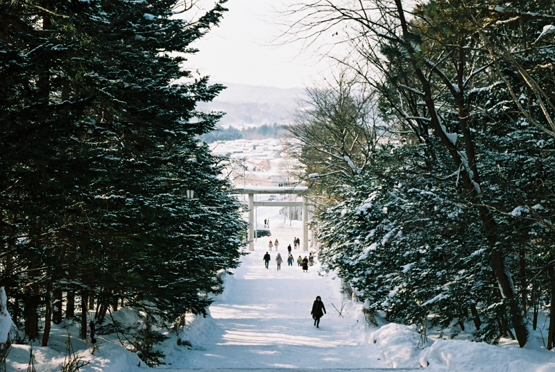 f:id:JLP:20130106151200j:image