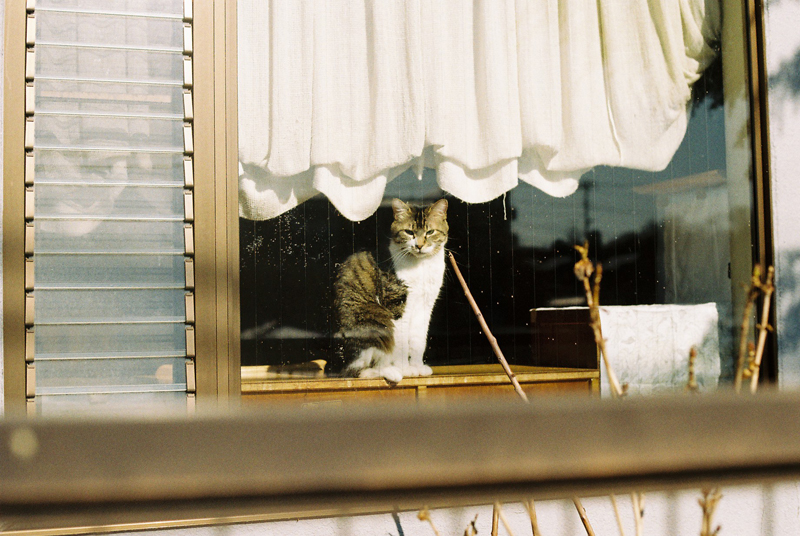 f:id:JLP:20130317210417j:image