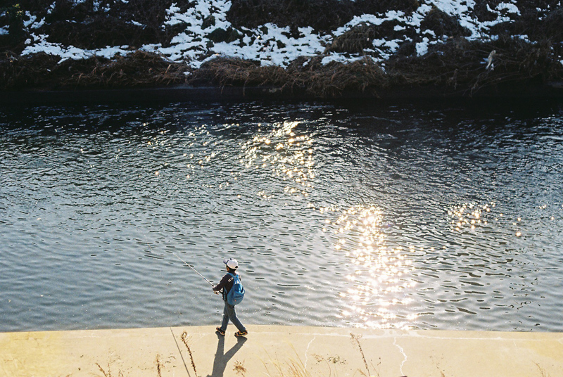 f:id:JLP:20130317210419j:image