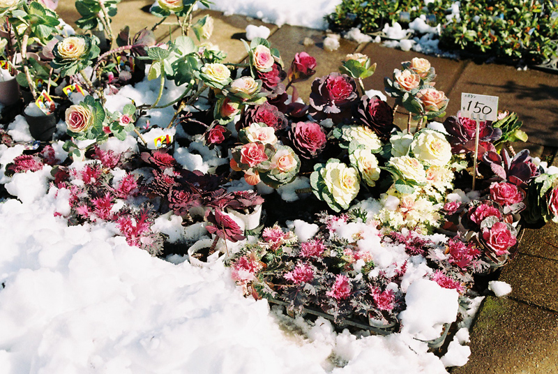 f:id:JLP:20130317210424j:image