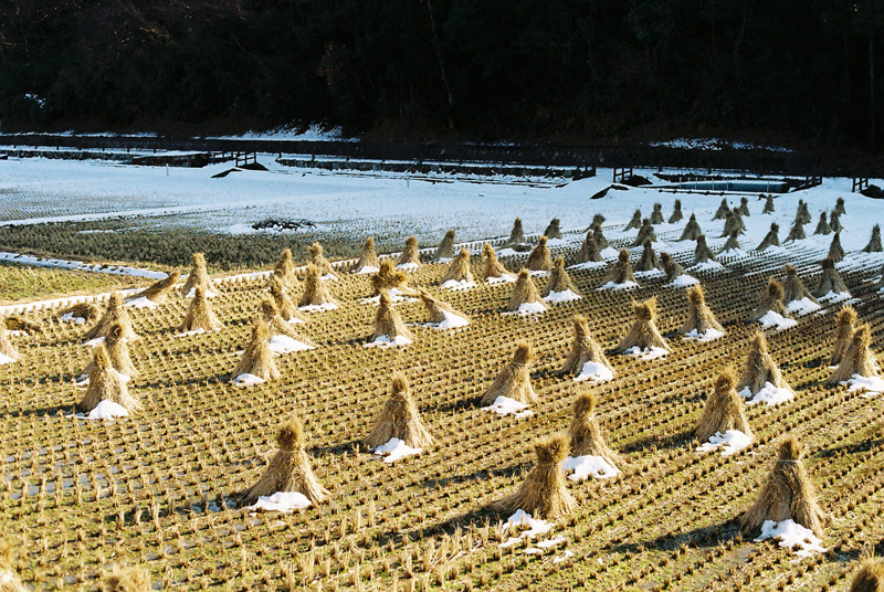 f:id:JLP:20130317210426j:image
