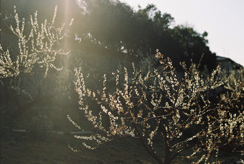 f:id:JLP:20130317210518j:image