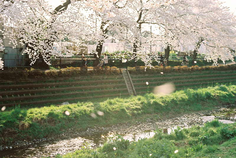 f:id:JLP:20130404211022j:image