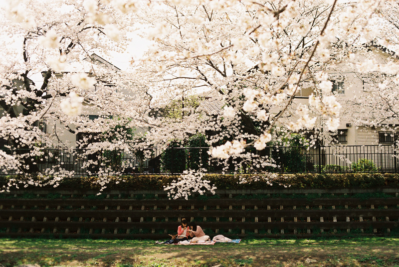 f:id:JLP:20130404211023j:image