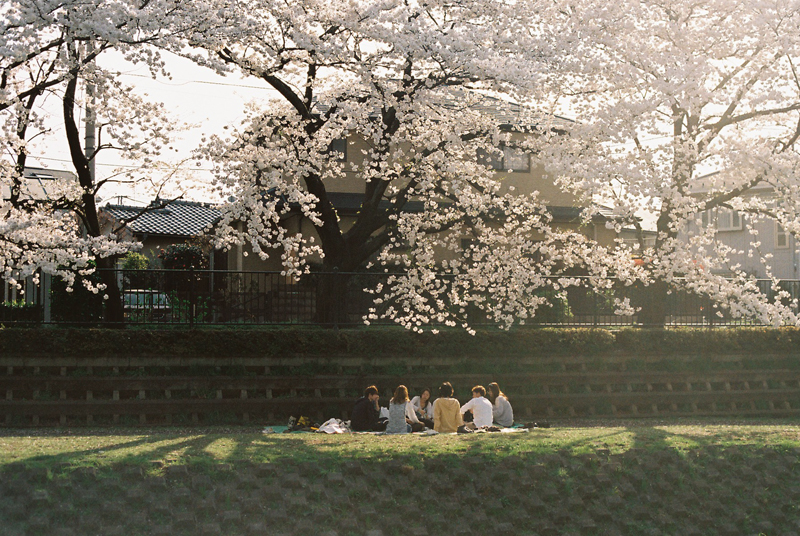 f:id:JLP:20130404211026j:image