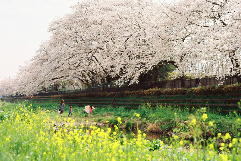 f:id:JLP:20130404211027j:image