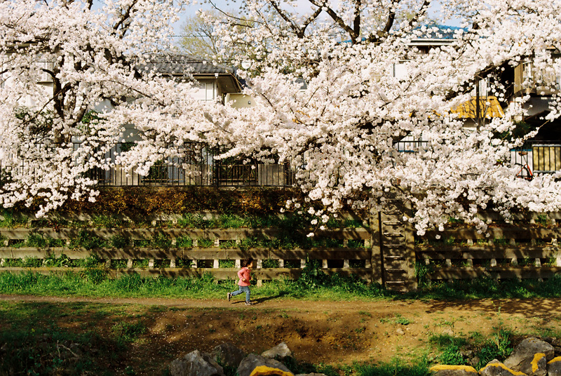 f:id:JLP:20130404211030j:image