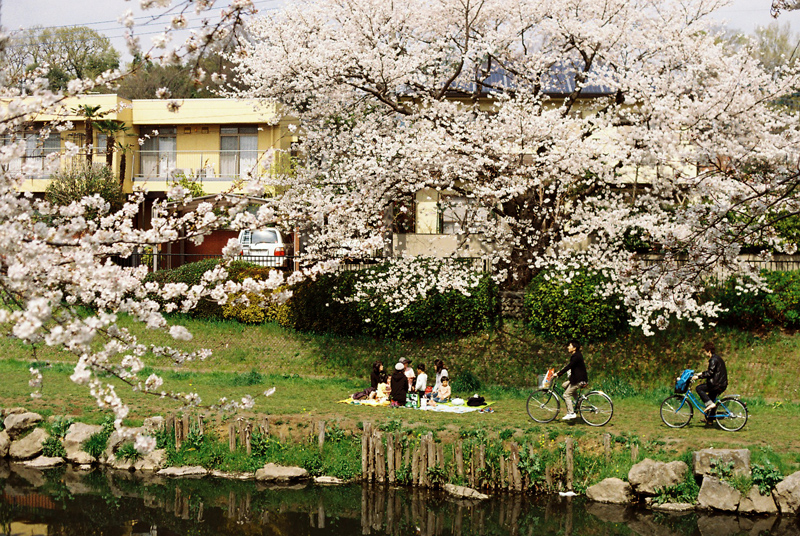 f:id:JLP:20130404211031j:image
