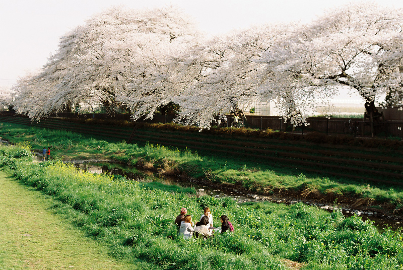 f:id:JLP:20130404211032j:image