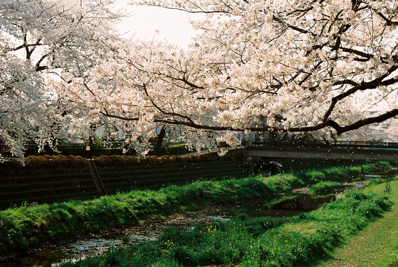 f:id:JLP:20130404211033j:image