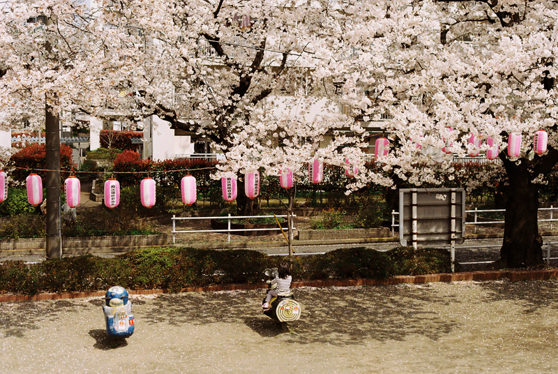 f:id:JLP:20130404211034j:image