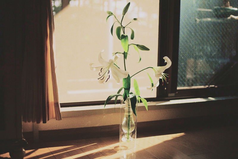 f:id:JLP:20130715202125j:image