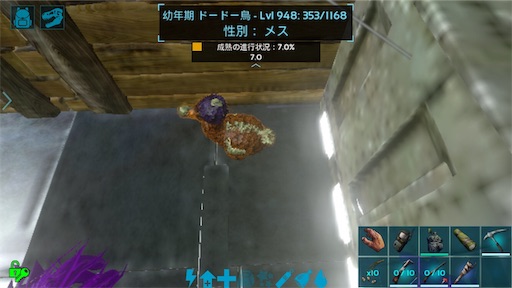 ドードーの羽 Luuの気ままにゲーム日記 ドードーの羽 Luuの気ままにゲーム日記