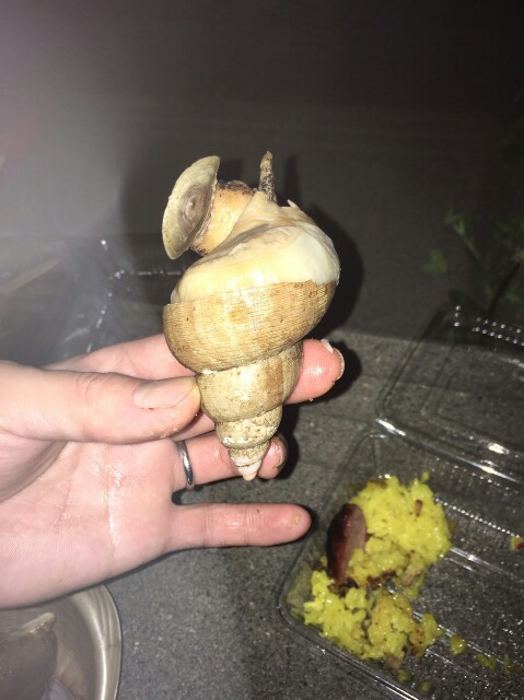 f:id:JMON:20170710212856j:image