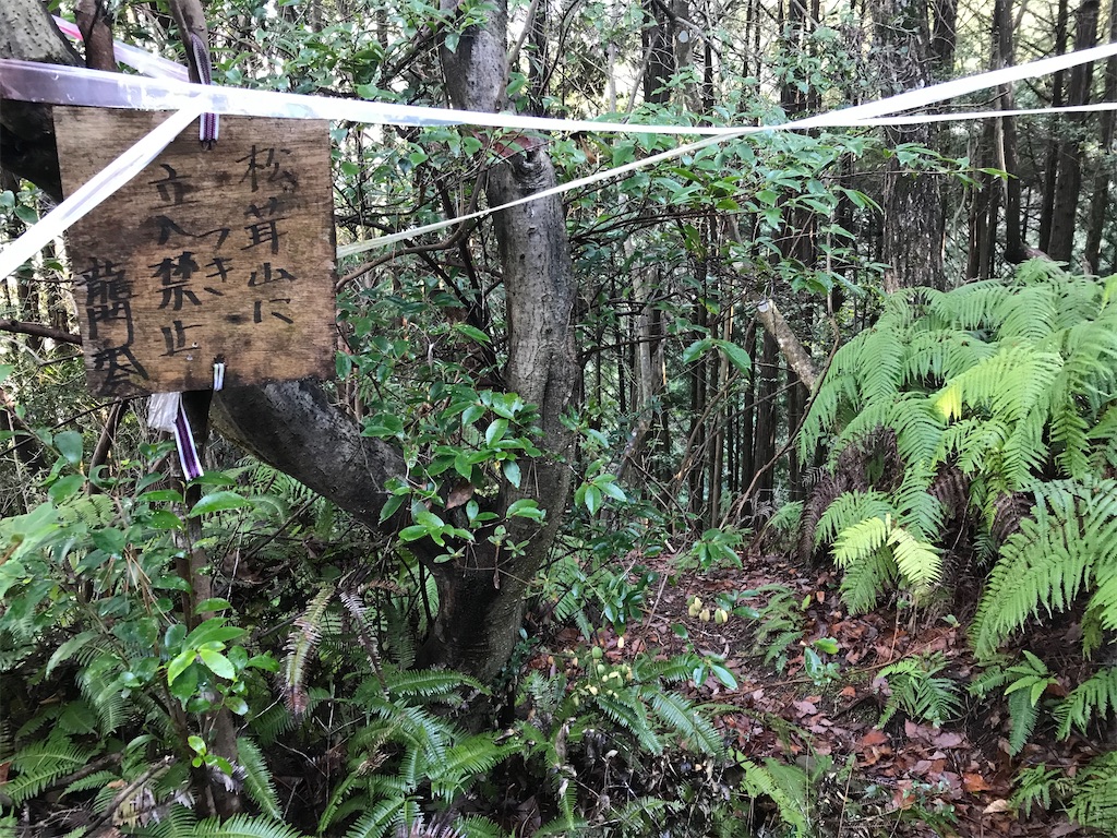 f:id:JOTO-BLOG:20200317174053j:image f:id:JOTO-BLOG:20200317174053j:image