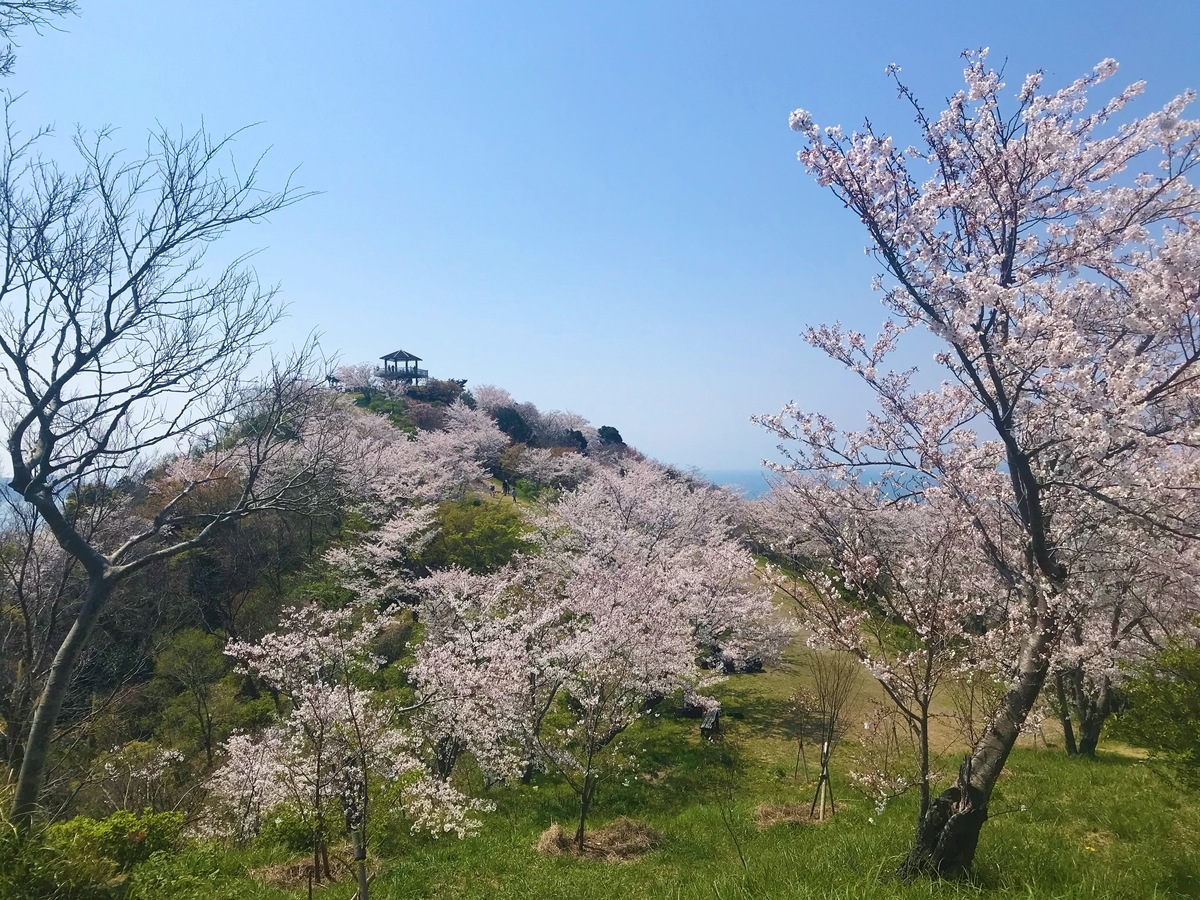 f:id:JOTO-BLOG:20200507121353j:plain f:id:JOTO-BLOG:20200507121353j:plain