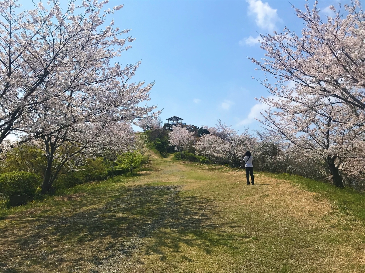 f:id:JOTO-BLOG:20200507122944j:plain f:id:JOTO-BLOG:20200507122944j:plain