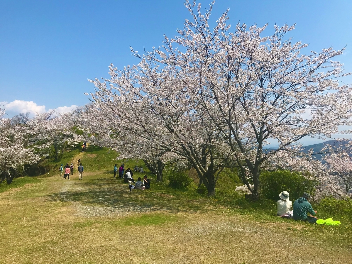 f:id:JOTO-BLOG:20200507125249j:plain f:id:JOTO-BLOG:20200507125249j:plain