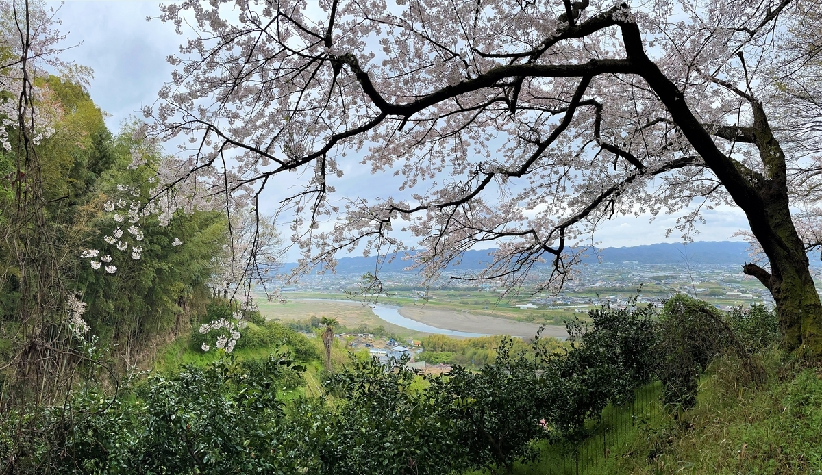 f:id:JOTO-BLOG:20210422213150j:plain