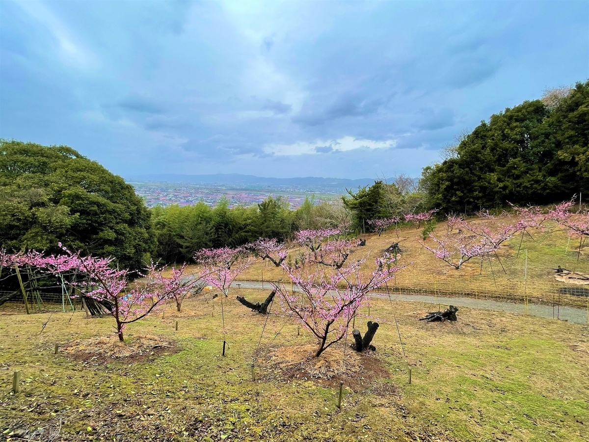 f:id:JOTO-BLOG:20210425092212j:plain
