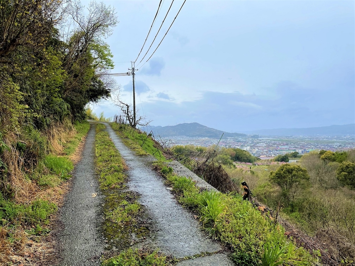 f:id:JOTO-BLOG:20210425101235j:plain