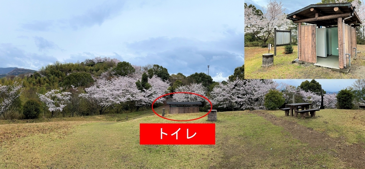f:id:JOTO-BLOG:20210425111203j:plain