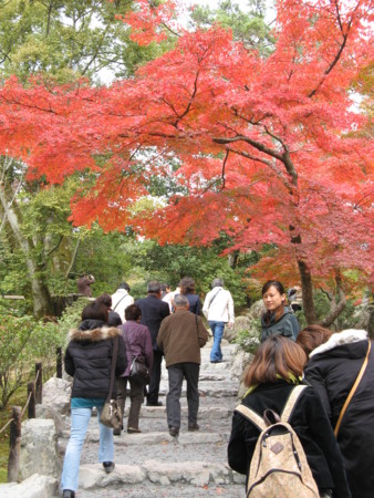 f:id:JRE_Senba:20101115114139j:image