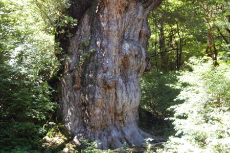 f:id:JUNO:20110912141832j:image