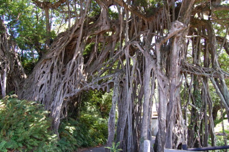 f:id:JUNO:20110913125916j:image