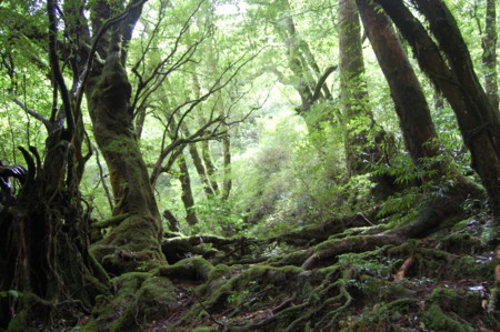 f:id:JUNO:20110914124307j:image