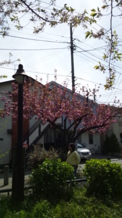 f:id:JUNO:20140412132235j:image
