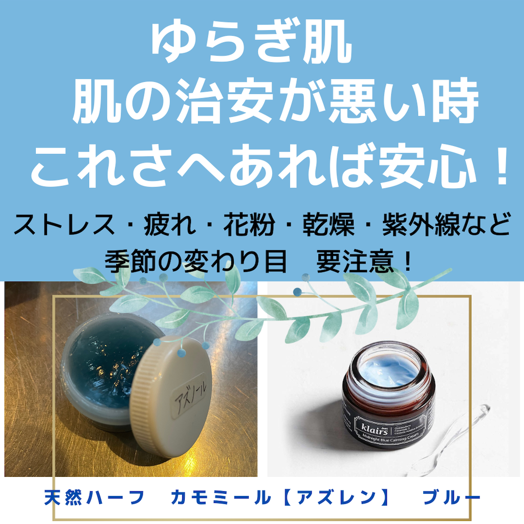 f:id:JUNn:20230216000727p:image f:id:JUNn:20230216000727p:image