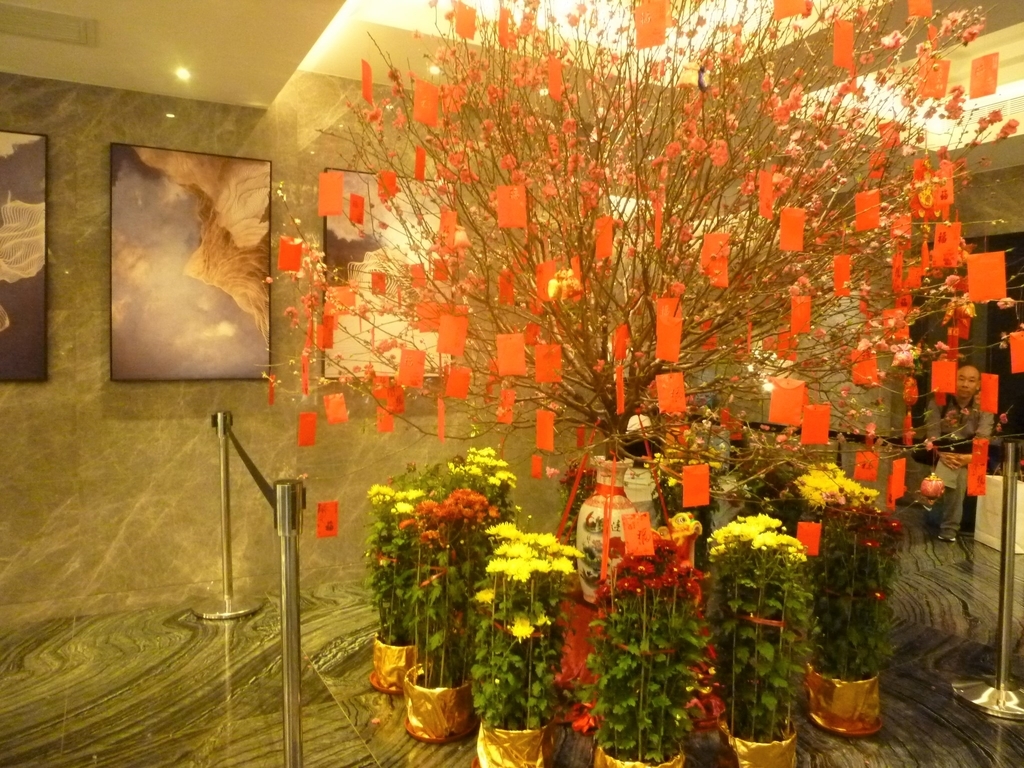 f:id:JURIN:20190207224457j:plain f:id:JURIN:20190207224457j:plain