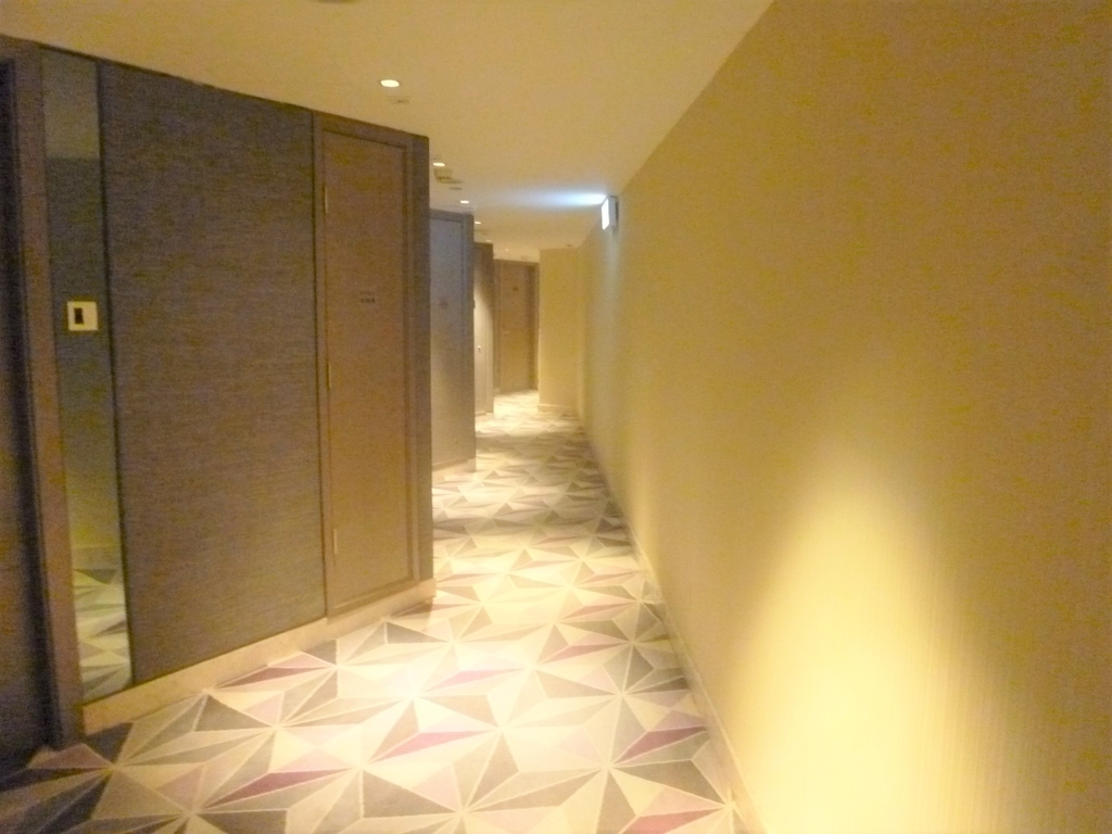 f:id:JURIN:20190207230546j:plain f:id:JURIN:20190207230546j:plain