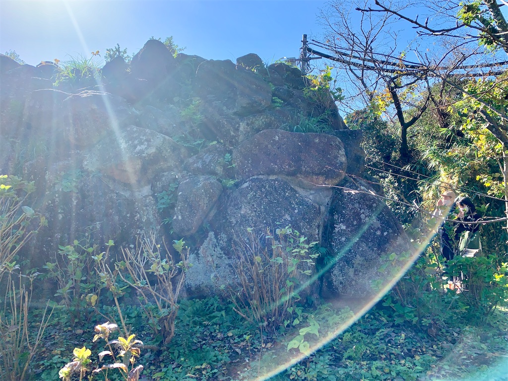 f:id:J_d:20220209073420j:image
