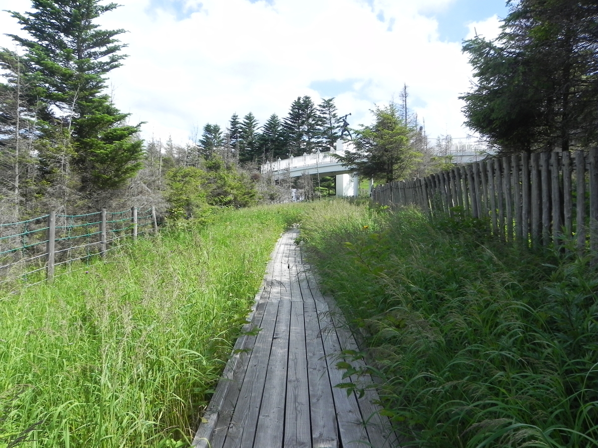 f:id:J_shima:20210805220025j:plain