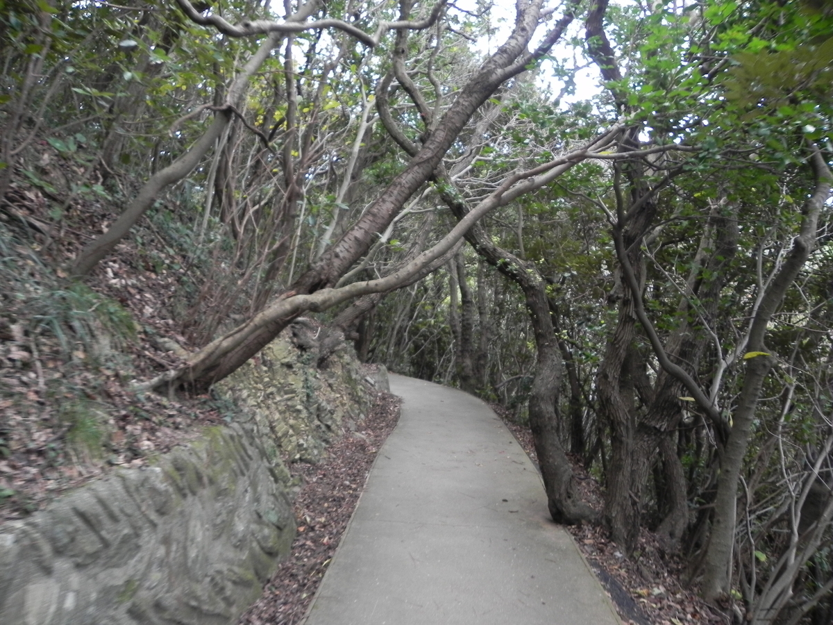 f:id:J_shima:20211213231844j:plain