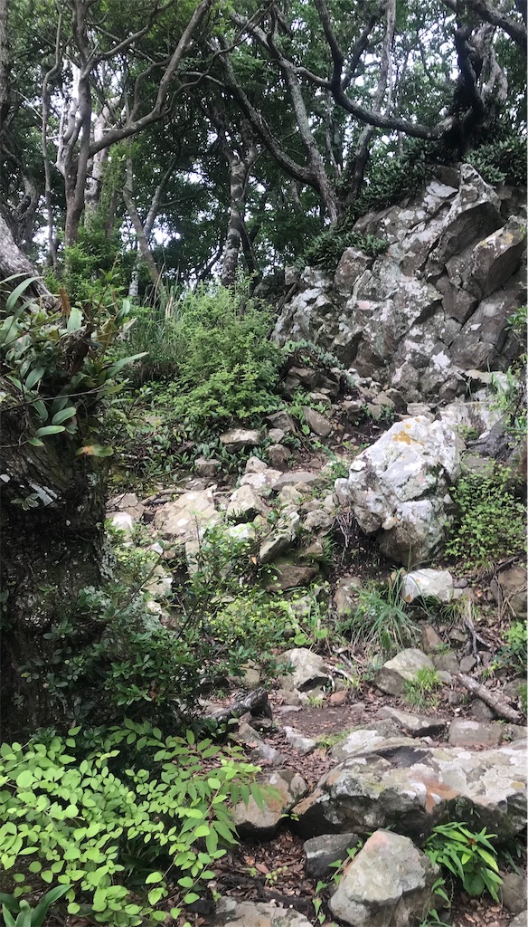 f:id:Jack-u:20210720182045j:image